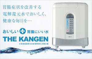 電解還元水整水器 THE KANGEN RD-II